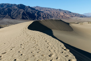 Mesquite Flat Sand Dunes 9