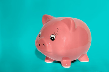 Pink Piggy Bank On Turquoise Background