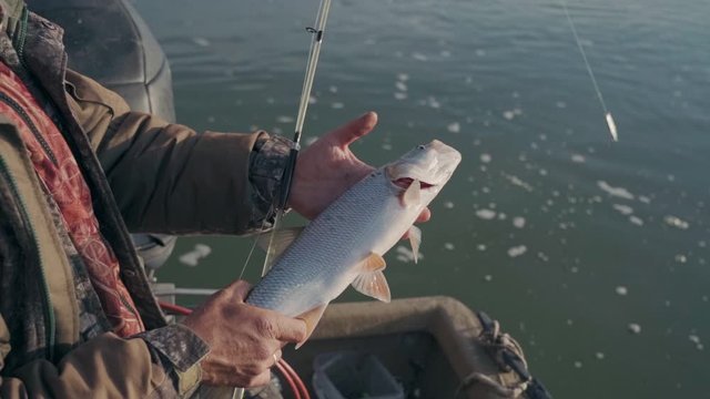 Angler holding a caught asp in slow motion