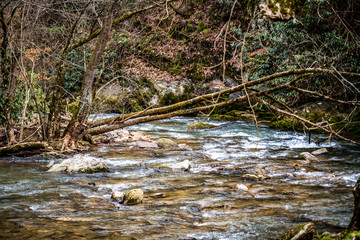 rocky stream in the mountains