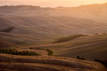Fototapeta na wymiar Tuscany summer, hills and countryside, Siena, Italy.