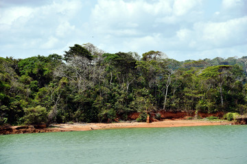 Green landscape of Panama Canal, view from the transiting cargo ship.