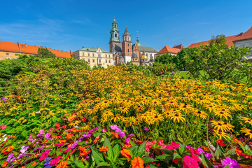 Fototapeta na wymiar Historic city of Krakow, Wawel Castle, Poland, Europe