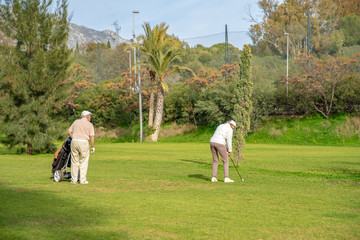 Senior couple playing golf on the green