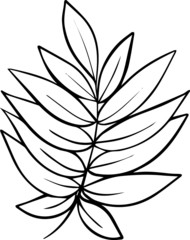 a hand-drawn branch of leaves on a white background in the style of a Doodle. Vector illustration