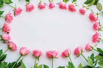 Floral frame made of fresh pink roses in full bloom on white background.