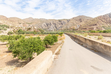 a paved road along the Nacimiento dry river next to Santa Cruz de Marchena, province of Almeria, Andalusia, Spain