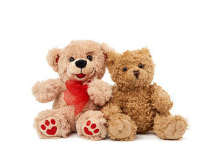 two teddy beige bears sitting huddled together