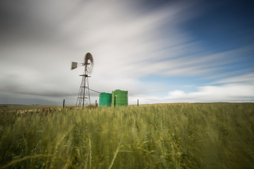 Wide angle view of a windpomp / windmill in a wheat field in the