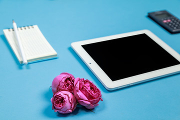 Office table desk with tablet, calculator, flowers and white blank notepad on blue background. side view and copy space for text
