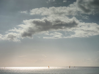 Beginning windsurfer riding in calm  sea.