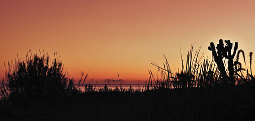 Sunset romantic beach spain