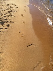 Poplar beach fun