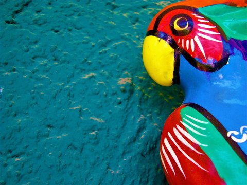 cotorro