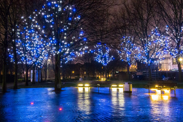 Fototapeta premium light on trees, london by night before christmas