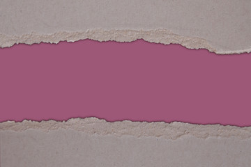 blank form with roughly torn edge of gray cardboard on a colored pink background, blank for designer, close-up, copy space