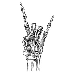 Skeleton hand. Rock-n-roll star. Heavy metal, rock music. - 333058670