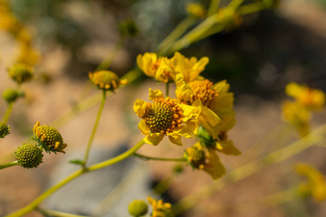 Riverside, Mount Rubidoux