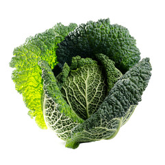 Ripe Fresh Green Savoy cabbage isolated on white.