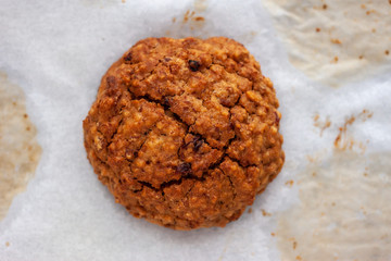 homemade baked oat cookie on white paper