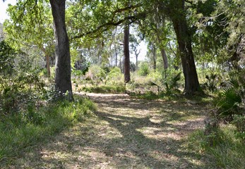 Florida Pathway