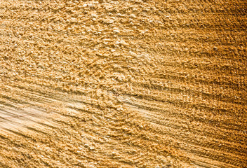 structure natural pine