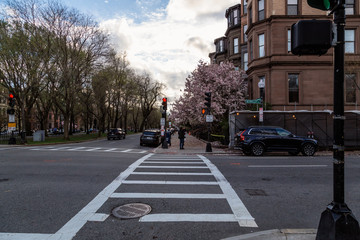 An Afternoon of Springtime in Boston, Massachusetts