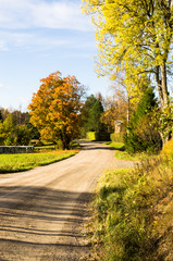 Obraz premium autumn in the park