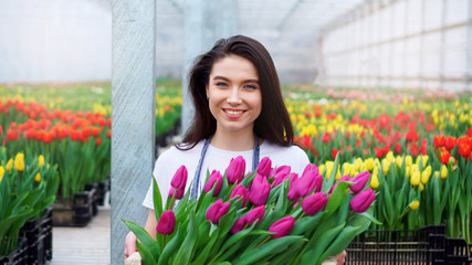 Young beautiful woman greenhouse worker holds a box with blooming tulips in her hands and smiles.