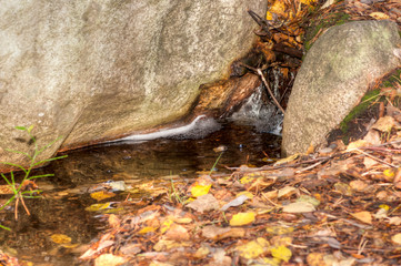 Obraz premium stream in the woods