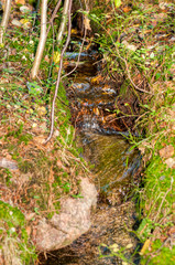 Naklejka na ściany i meble stream in the woods