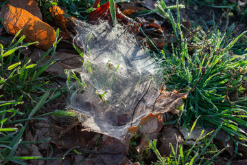 Riverside Early Sunrise 