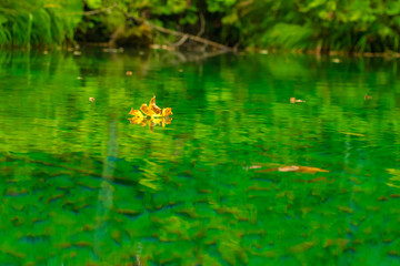 plitvice national park of croatia