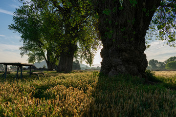 Riverside Early Sunrise 