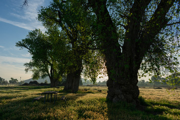 Riverside Early Sunrise 
