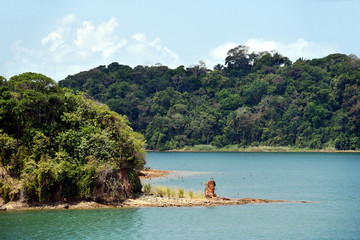Green landscape of Panama Canal, view from the transiting cargo ship.