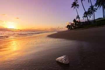 Fotobehang Prachtige zonsondergang op een Hawaiiaans strand © jdross75
