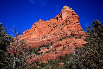 Sedona red rocks on Soldier's Pass Trail