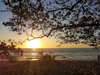 A view of a sunset on a beach framed by silhouettes of the trees in Costa Rica.