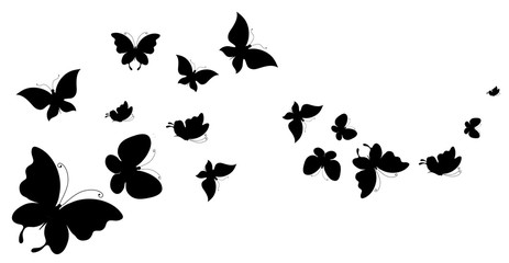 butterfly485