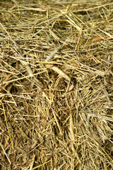 background of straw