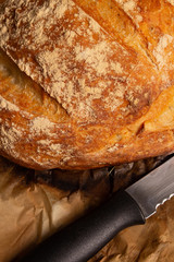 Delicious italian bread on wooden table. Rustic concept.