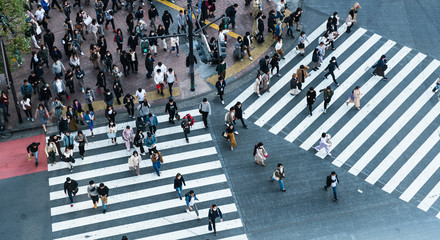 Obraz premium Shibuya crossing