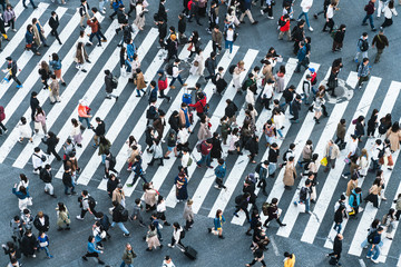 Obraz premium Shibuya crossing