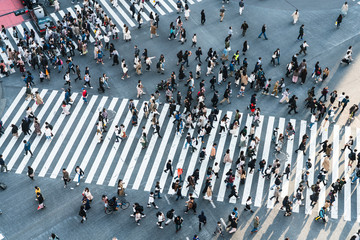 Shibuya crossing