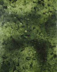 Japanese Washi Green Shade