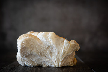 Lion's Mane Mushroom