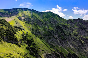 Naklejka premium Natural landscape of green Nebelhorn; green trees and grass on the mountain