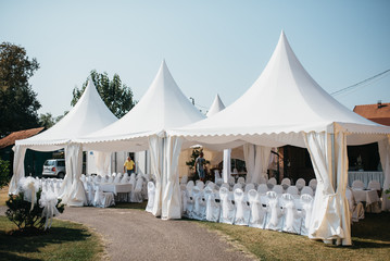 Floral garden decoration for a special day wedding. A party in nature