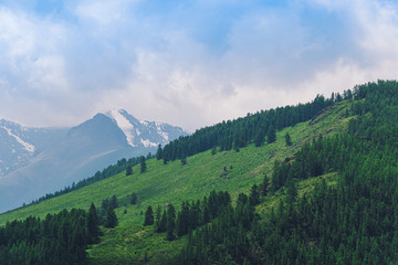 silhouette of mountain range in haze on horizon in mountain valley. Hiking in wild